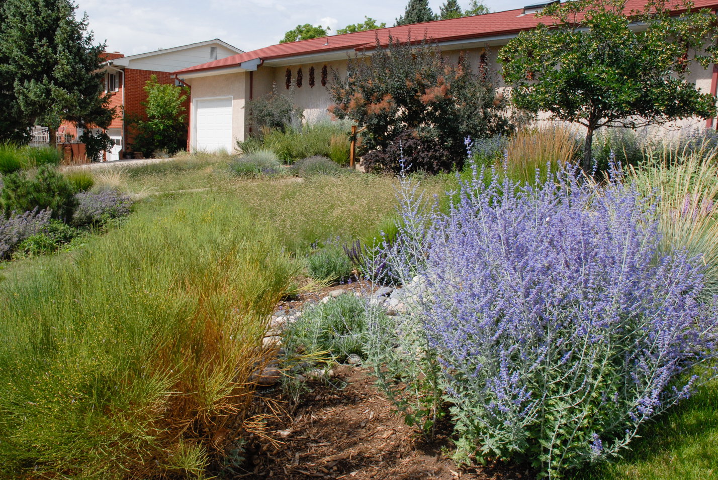 Southwest Spin Xeriscape